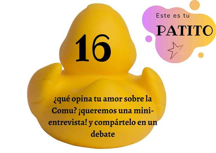 Feria de bodas: Elija tu patito 🐥🐤 - 1