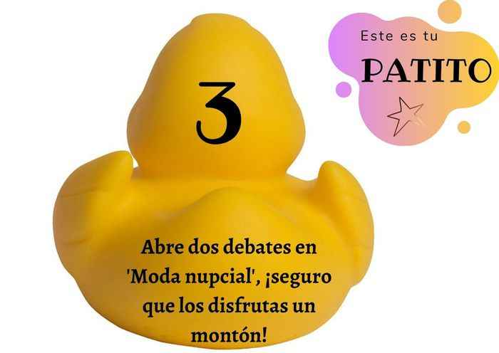 Feria de bodas: Elija tu patito 🐥🐤 - 1