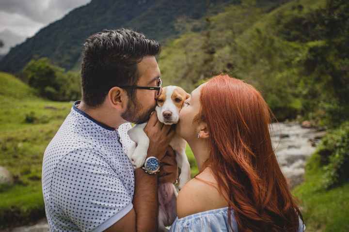 ¿Ya han hablado sobre tener o no mascotas? - 1