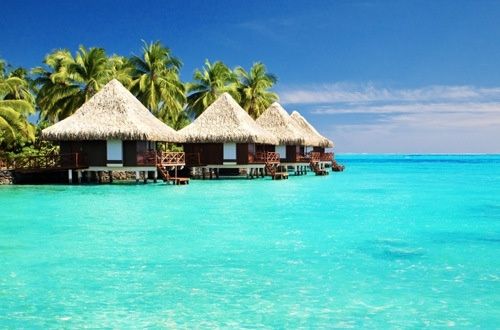 Presume tu Honeymoon! - 1