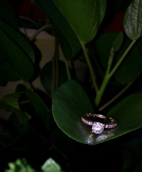 📸💍 - 1