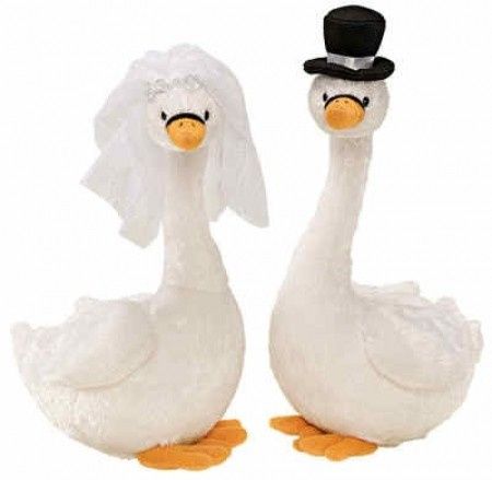 Swans!