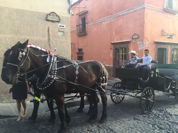 Entrega de anillo!! - 1