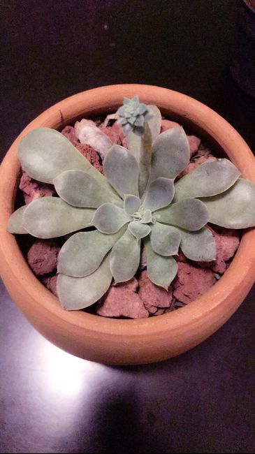 Avances ... 😳🤗🤭🙈 - 3