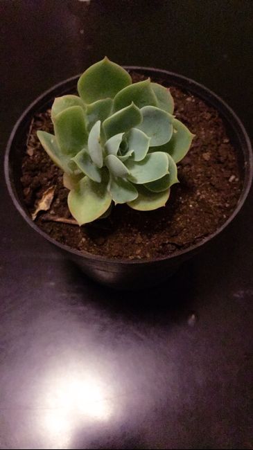 Avances ... 😳🤗🤭🙈 - 4