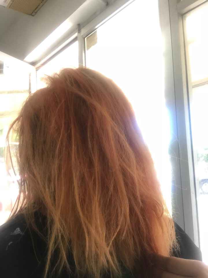 Hoy... cambio de color - 1