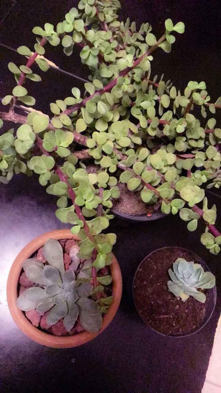 Avances ... 😳🤗🤭🙈 - 2