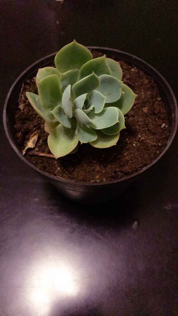 Avances ... 😳🤗🤭🙈 - 4