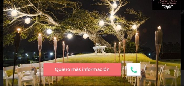 Iluminación de bodas al aire libre - 1