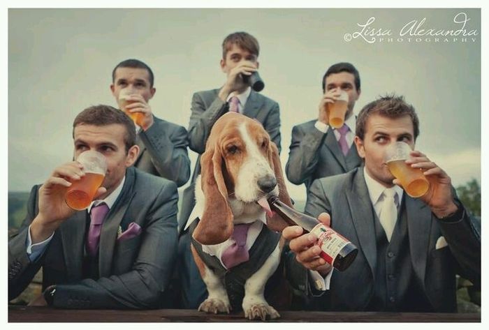 Mascotas en la boda - 3