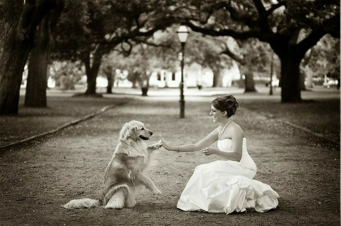 Mascotas en la boda - 6