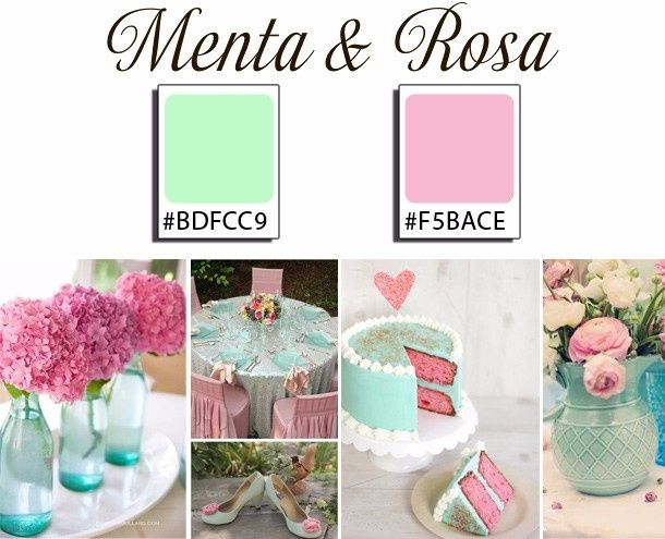 Rosa y Menta 2