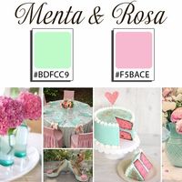 Rosa y Menta 2