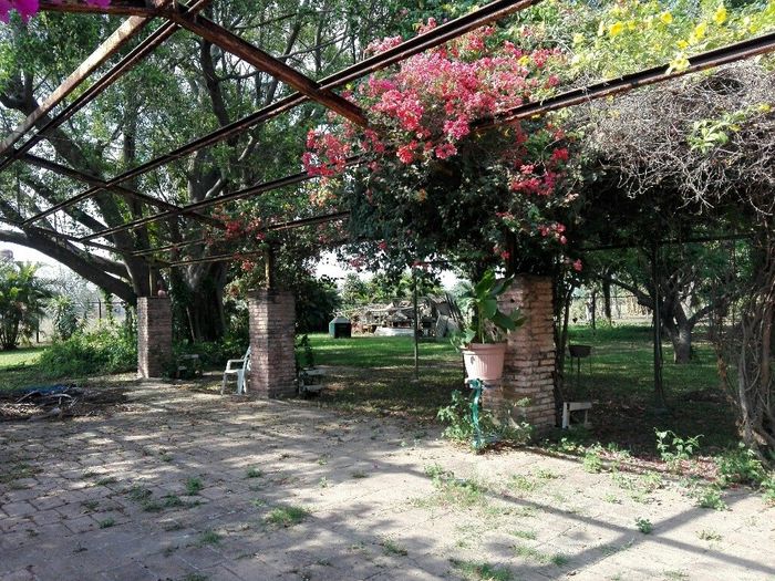 Encontré el lugar perfecto!!!! - 2