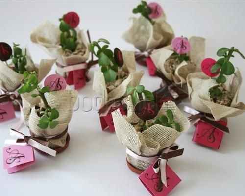 plantitas