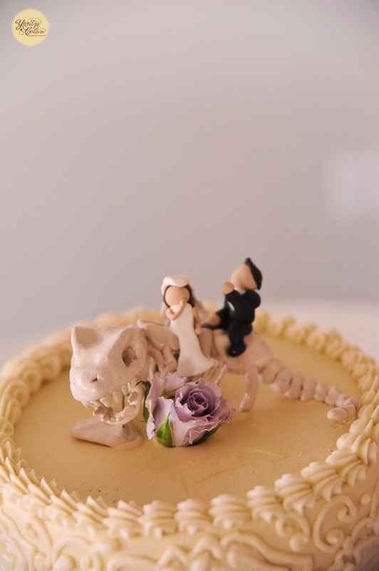 cake tooper de fósiles
