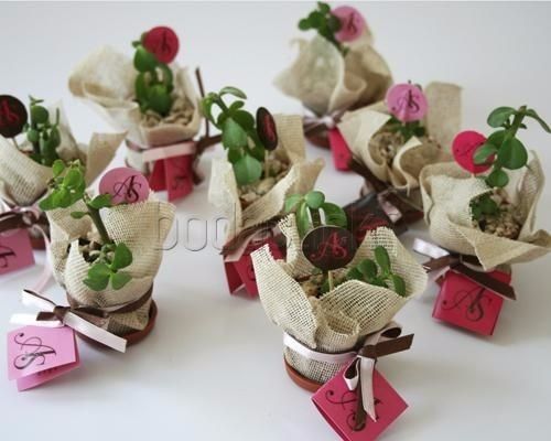 plantitas