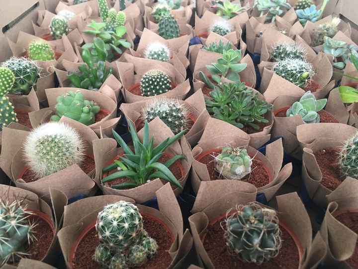  Historia de amor M&s 👰🏻🤵🏻 - 5