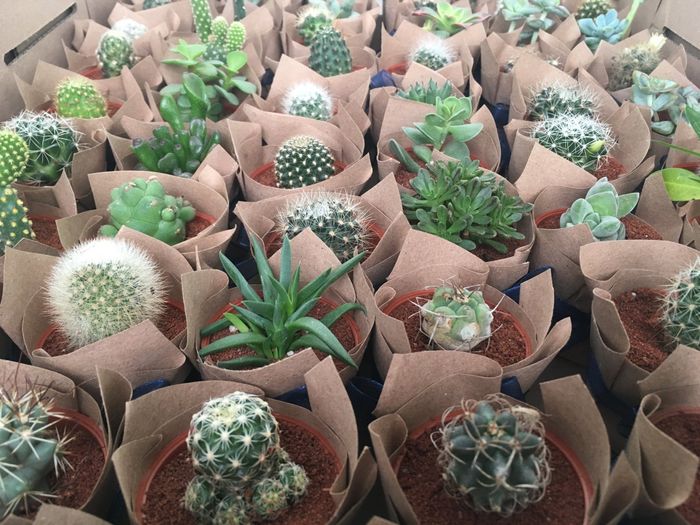 Historia de amor M&s 👰🏻🤵🏻 - 5