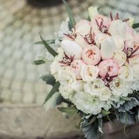 Habemus fotografo y video bbb 📷😄 - 2