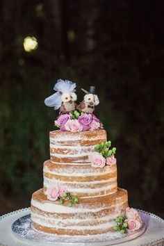 Naked cake