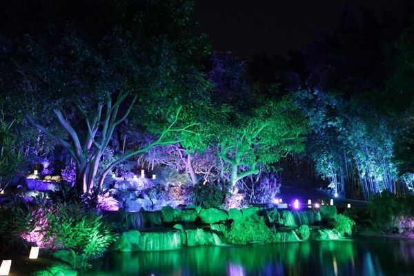 ¿con o sin iluminación arquitectónica? - 2