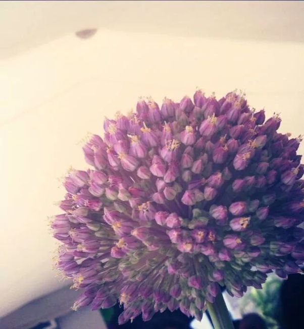 Detallitos.. wdn - 6