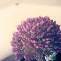 Detallitos.. wdn - 6