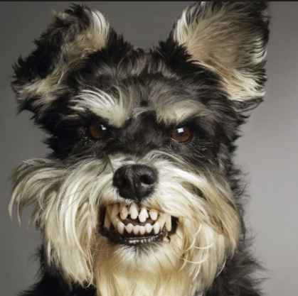 estuve a nada de morderla de coraje y hambreee!