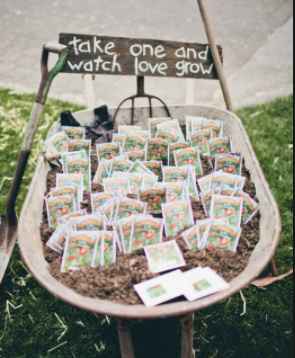 sobrecitos con semillas!