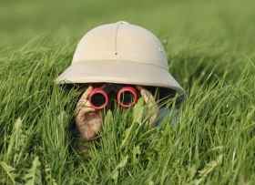 buscando desesperadamente