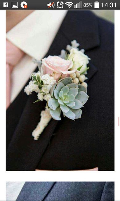 Cuál eligen para su fm - 1