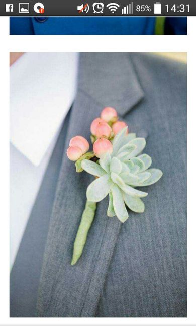 Cuál eligen para su fm - 2