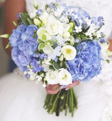 Tal vez las flores azules por unas hortencias