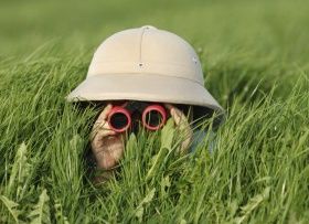 buscando desesperadamente