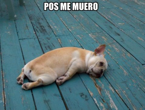 Todavía nos falta decidir la primer cancióooon!... 