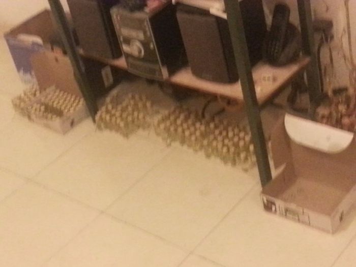 Frasquitos poor aquiiii