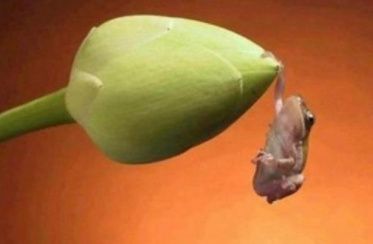 ya casi nos dabamos por vencidas!