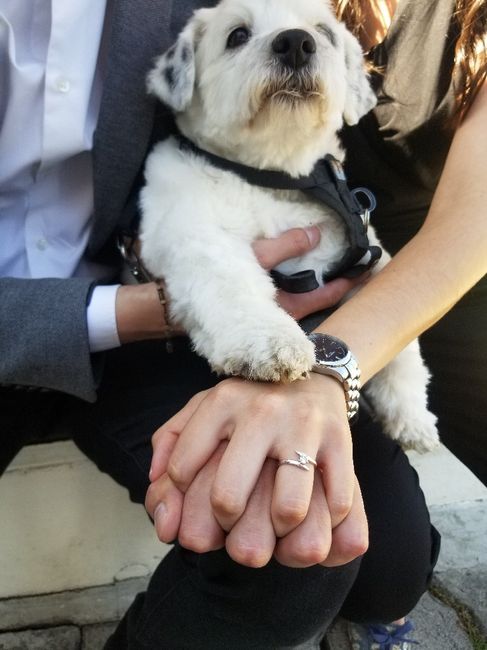 El anillo de compromiso 🤩 - 1