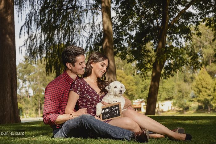 ¿Cómo incluir a tu mascota en la boda? - 1