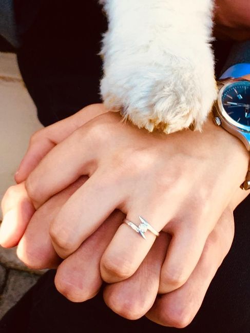 ¿Cómo incluir a tu mascota en la boda? - 2