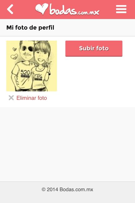 No puedo cambiar mi foto de perfil - 2