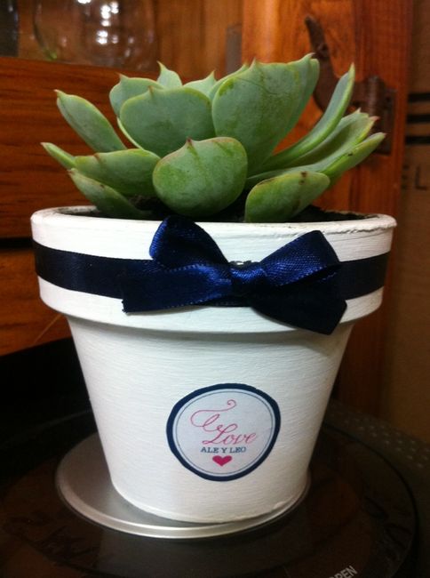 Mis suculentas, recuerdos  - 3