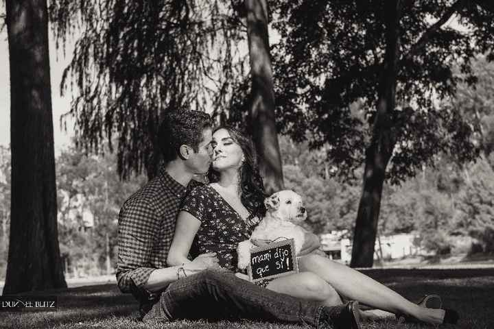 Mi save the date - 6