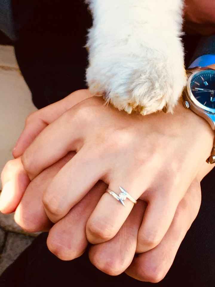 ¿Cómo incluir a tu mascota en la boda? - 2