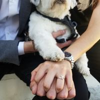 El anillo de compromiso 🤩 - 1