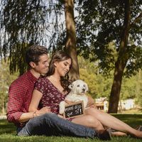 ¿Cómo incluir a tu mascota en la boda? - 1