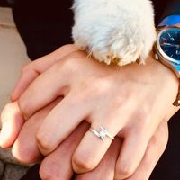 ¿Cómo incluir a tu mascota en la boda? - 2