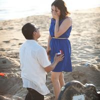 The propose 