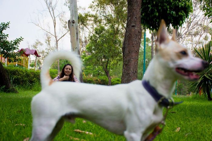 Contagiando de amor - 1